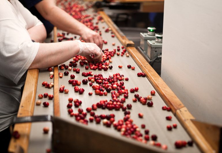食品级润滑脂可以降低污染风险_润滑脂厂家（特好德）